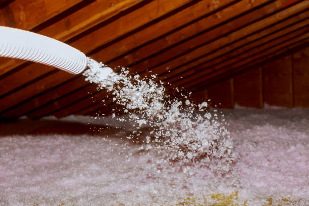 Best Garage Insulation  in Labasas, CA