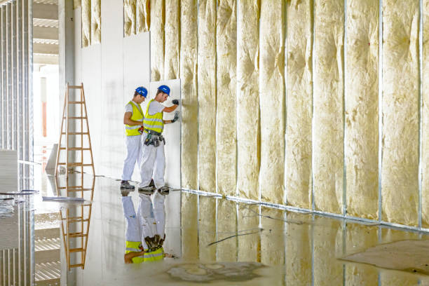 Best Soundproof Insulation  in Labasas, CA